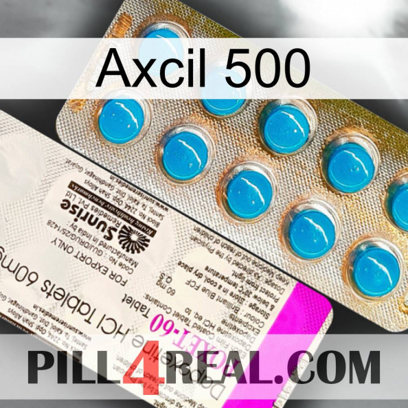 Axcil 500 new07.jpg